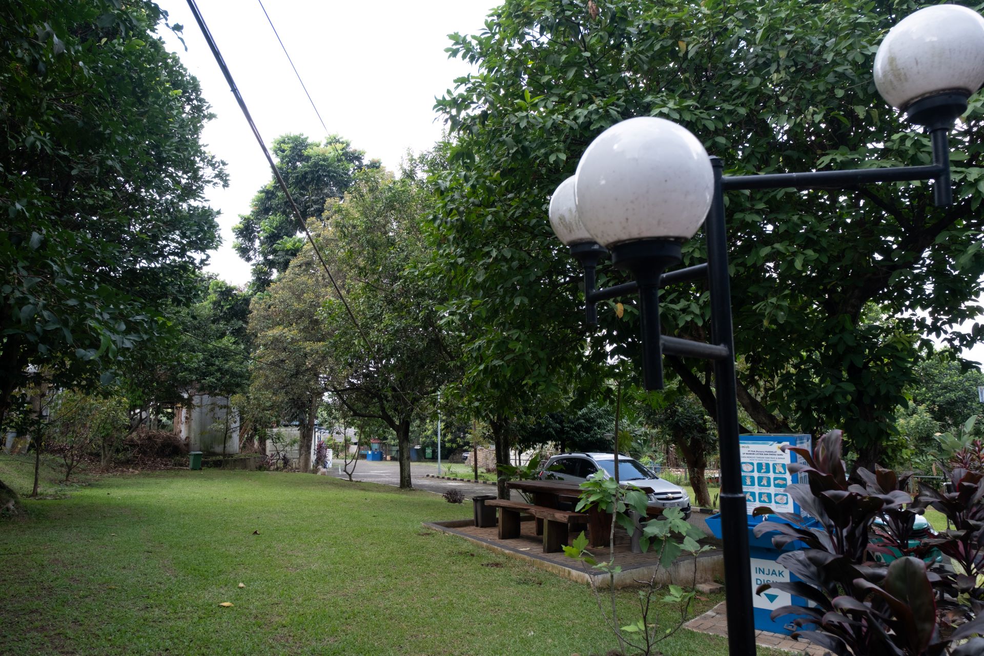 taman-belakang-1
